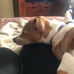 Meet your Posher, Abbey